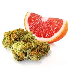 Buy Grapefruit Haze-#1