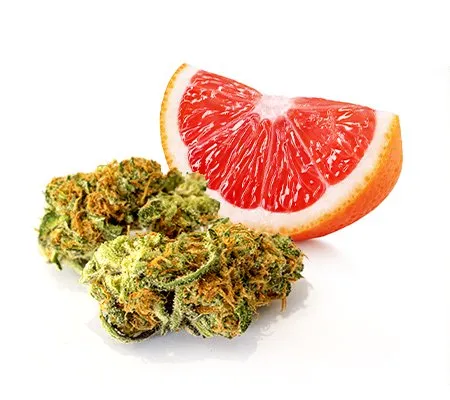 Buy Grapefruit Haze